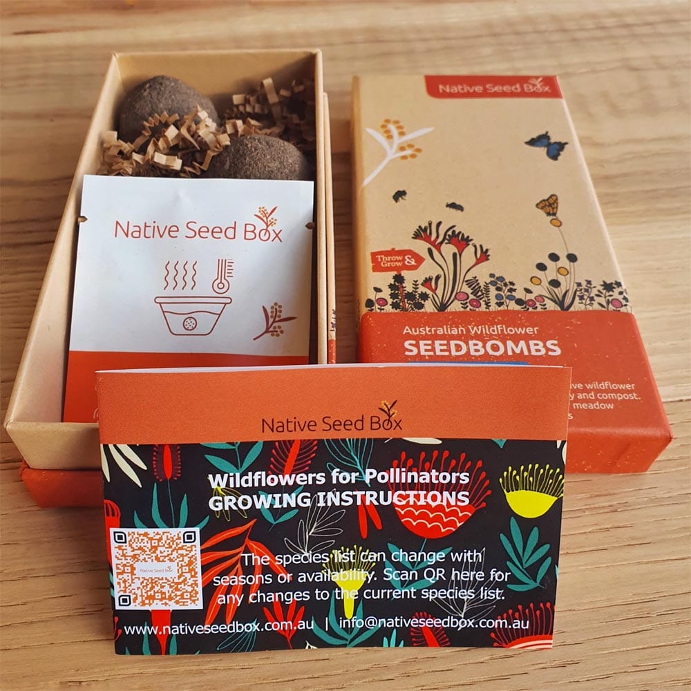 Native Seed Box Seed Bomb Collections Wildflowers for Native Pollinators