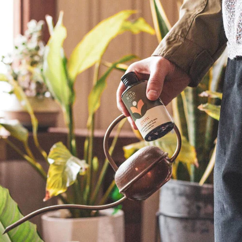 We The Wild - Grow Plant Food & Tonic 150ml